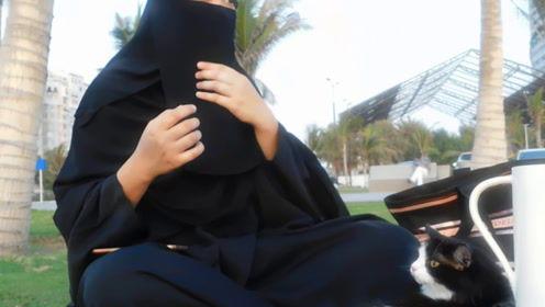 娱乐吃瓜君直播,娱乐圈幕后大事件  第1张